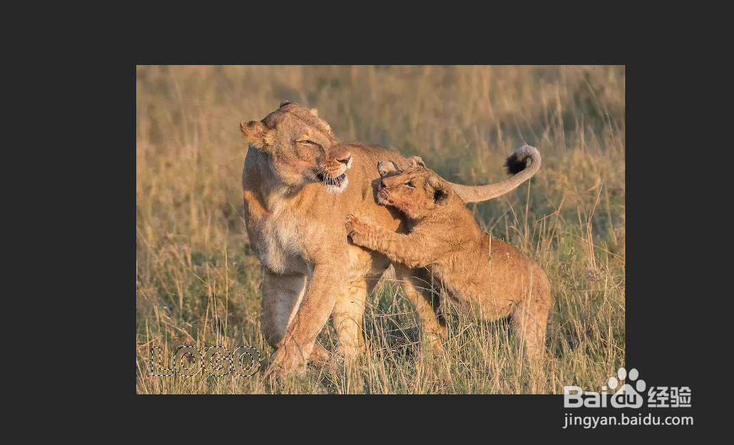 Photoshop如何快速去除照片水印