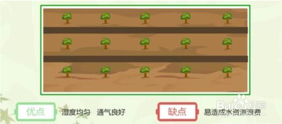 果树 灌水 方法