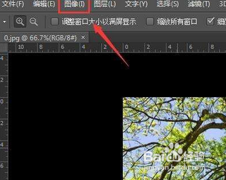 如何制作8bit视频