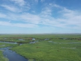 最美草原自由行