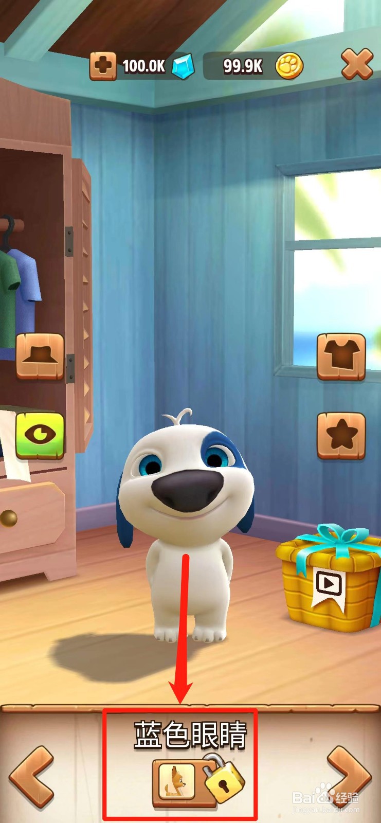 我的汉克狗怎样试戴【蓝色眼睛】