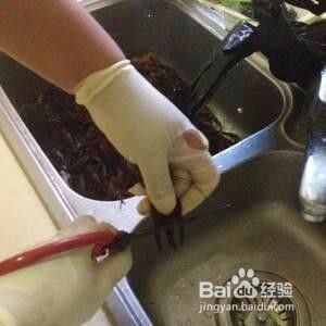 如何清洗小龙虾