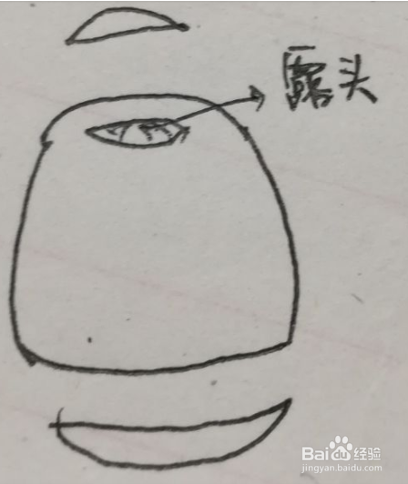 葡萄柚怎么剥方便