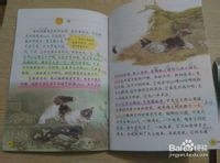 怎样快速有效的背诵课文