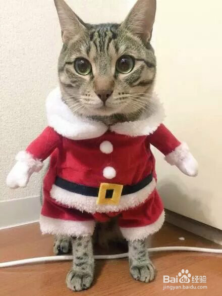 如何培养女神气质?