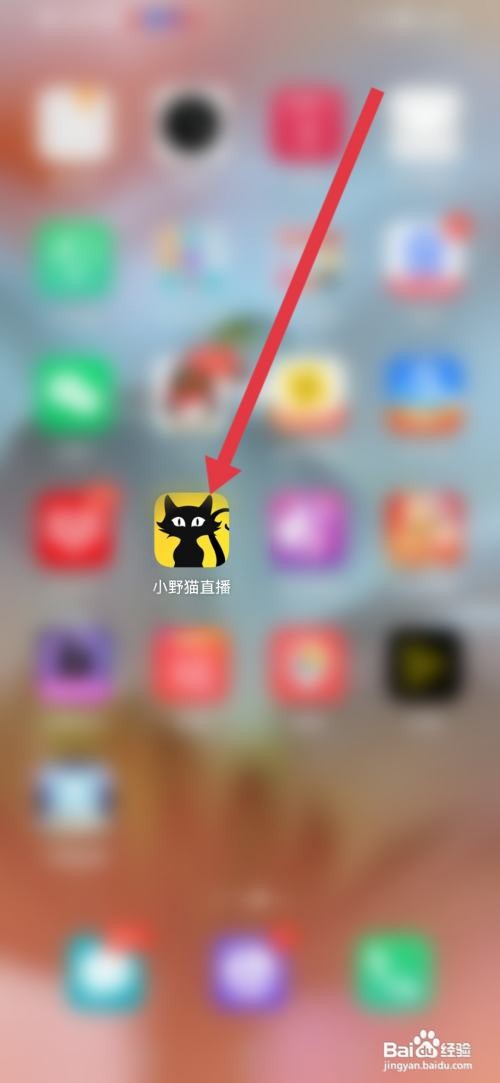小野猫直播APP怎么开启公聊消息过滤