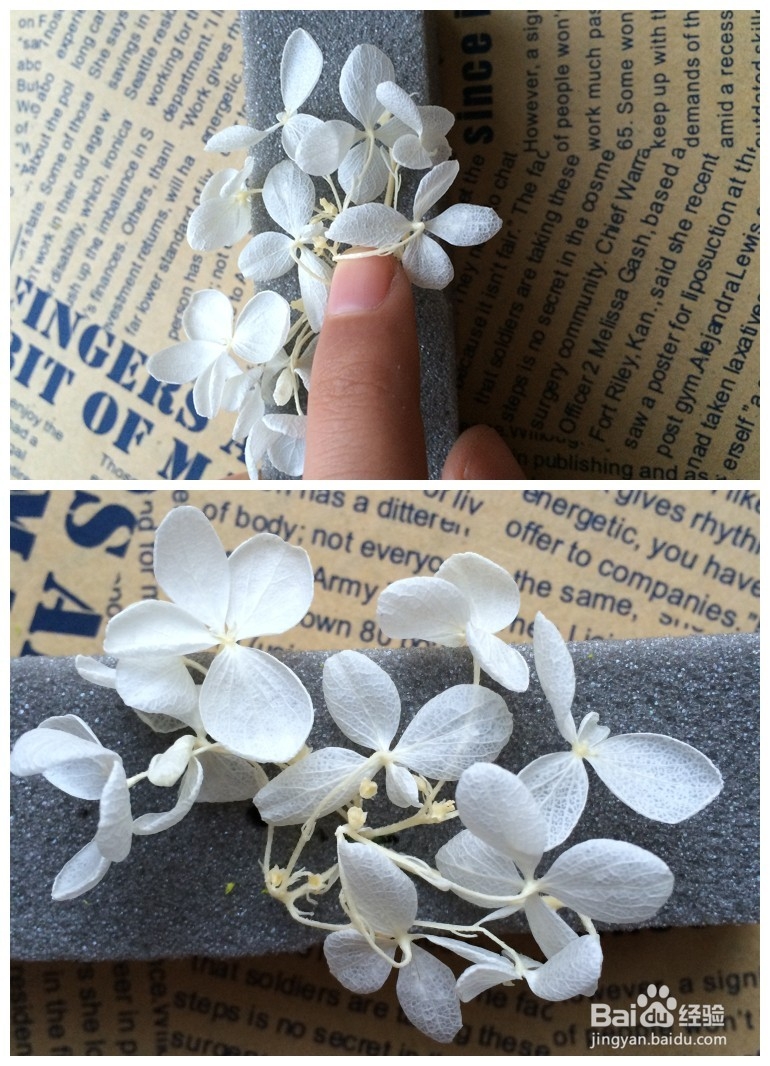 永生花盒DIY制作教程—绣球的固定方法