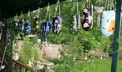 用塑料瓶做的创意DIY