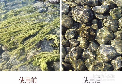 杀菌灭藻剂氧化与非氧化的区别