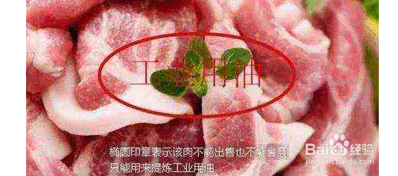 猪肉盖的各种印章都代表什么意思可别买错了!