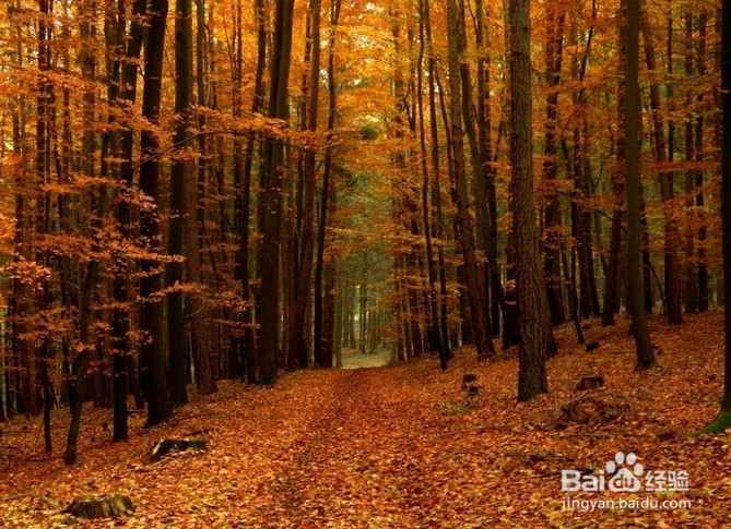 美国​皮玛社区学院申请情况