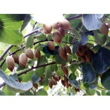 精准扶贫农家欢喜村民快乐记实