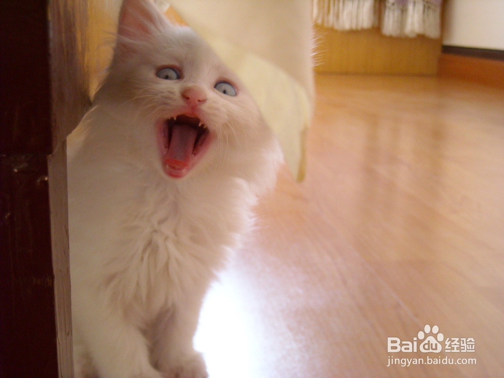 恶搞教学（十四）