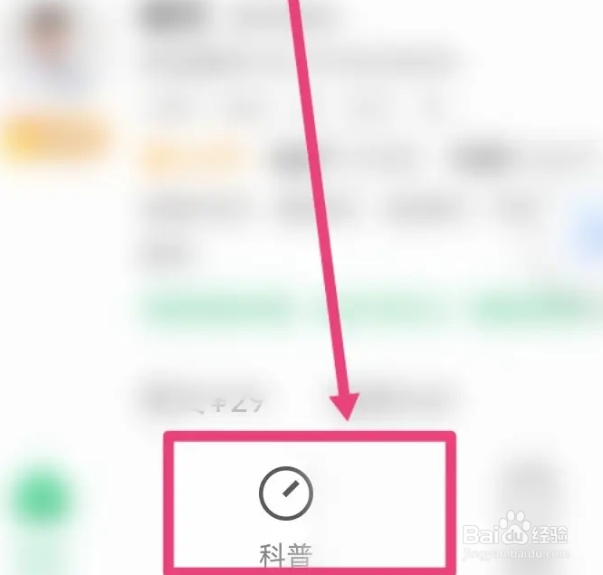 如何驯服猫咪