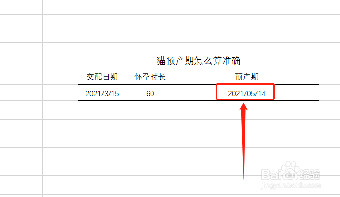猫预产期怎么算准确