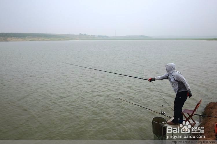 如何钓肉食性鱼类