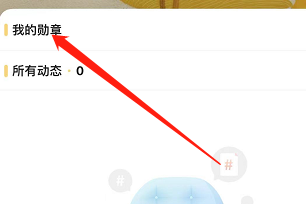 IOS版埋堆堆如何查看直播勋章