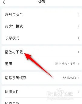 爱奇艺允许流量下载如何开启