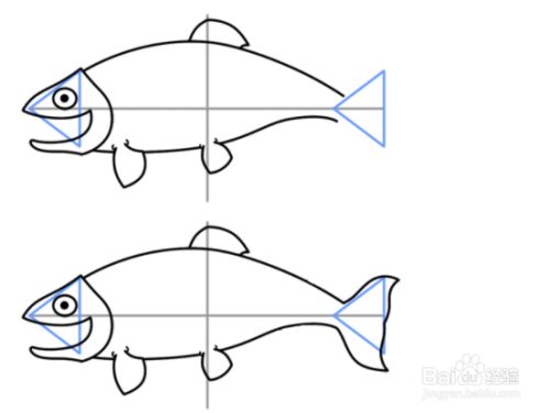 如何画卡通鱼
