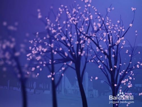 flash的动画制作