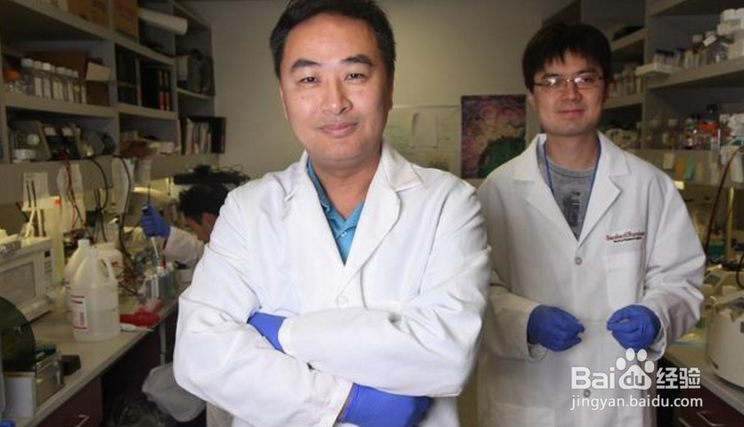 博士后与教授哪个职称更高？