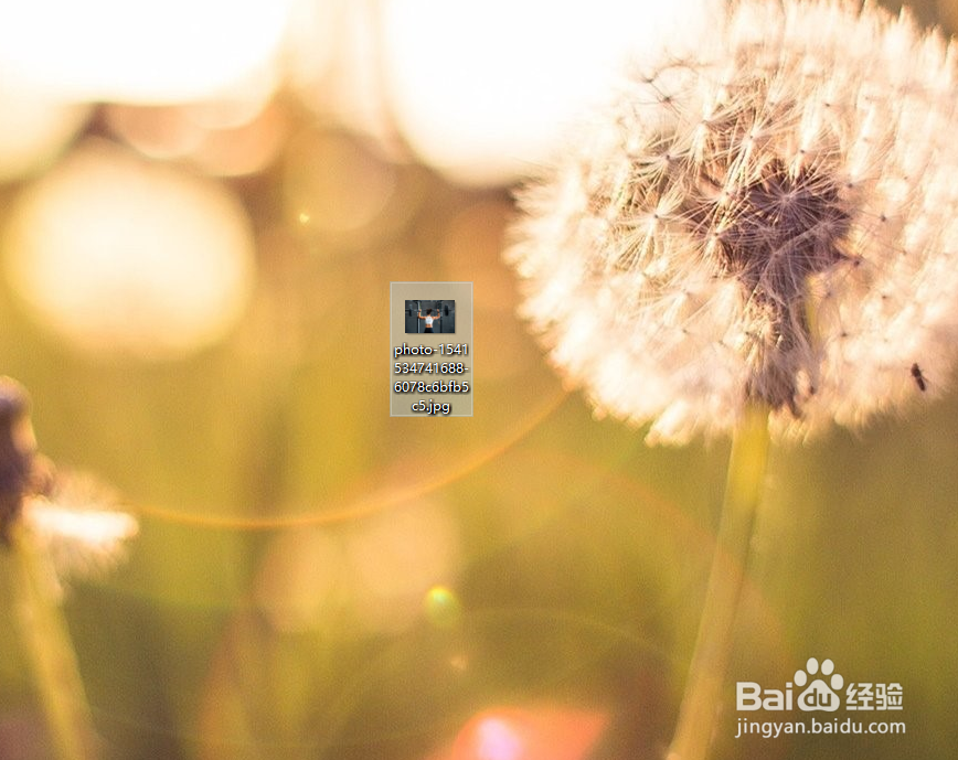 ps怎么保存图片