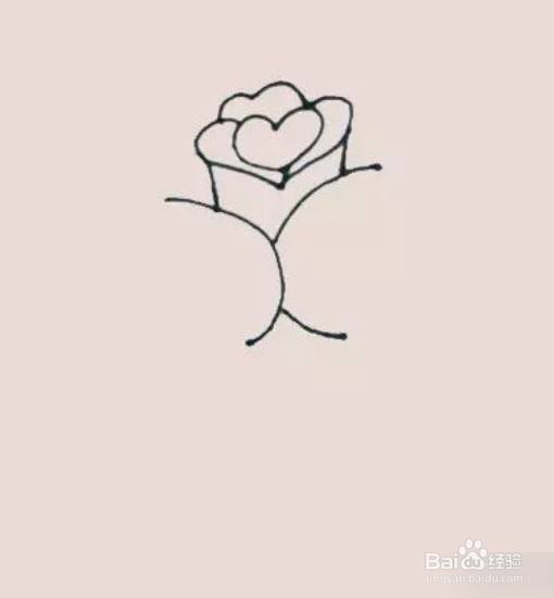 玫瑰花简笔画的画法