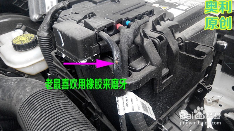 汽车怎样防止老鼠进入