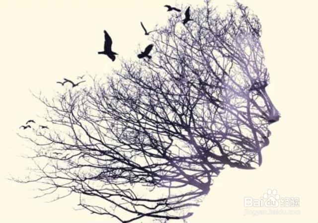 Photoshop飞鸟双重曝光效果