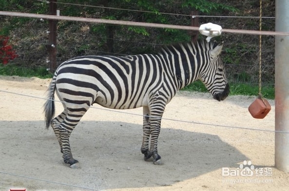 韩国光州牛峙公园旅游攻略