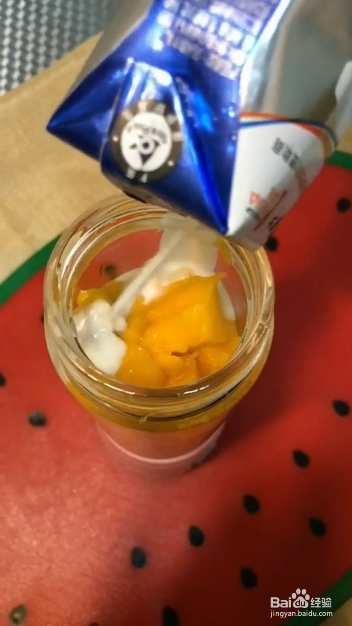 怎么制作芒果盆栽