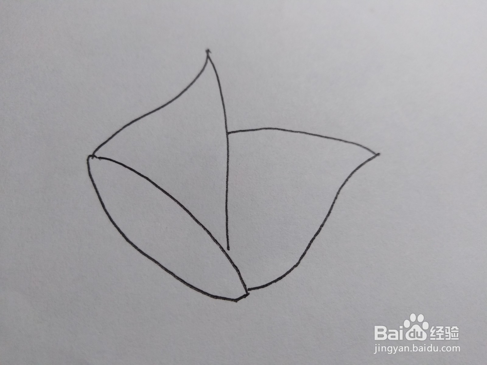 教你怎样画一个竹笋226