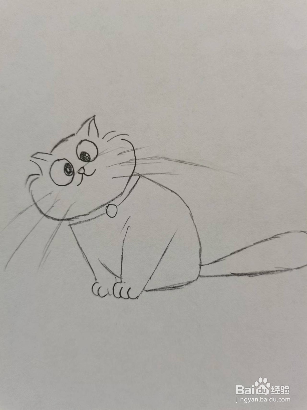 手绘简单的肥猫