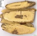 什么食物可以增强免疫力