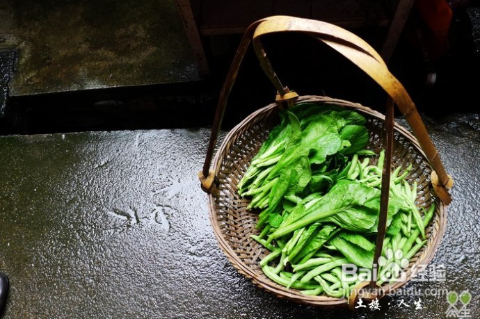 66@365【洪坑】土楼精华一日游