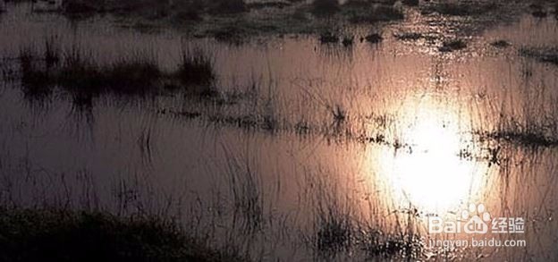 那些地方不适合建自建房