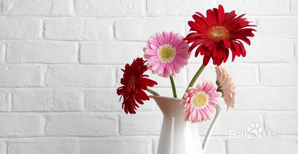 如何挑选千元拍照手机