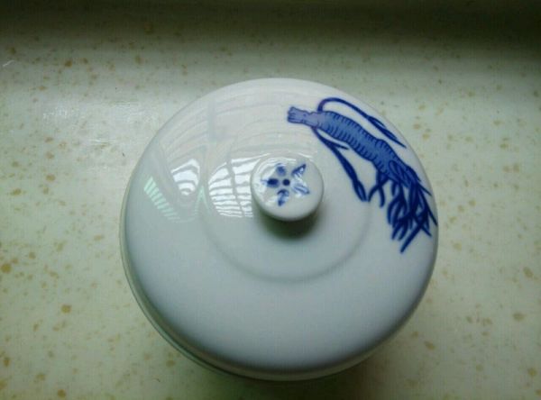 花旗参滋补炖肉汤