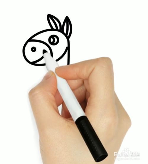 如何画毛驴?