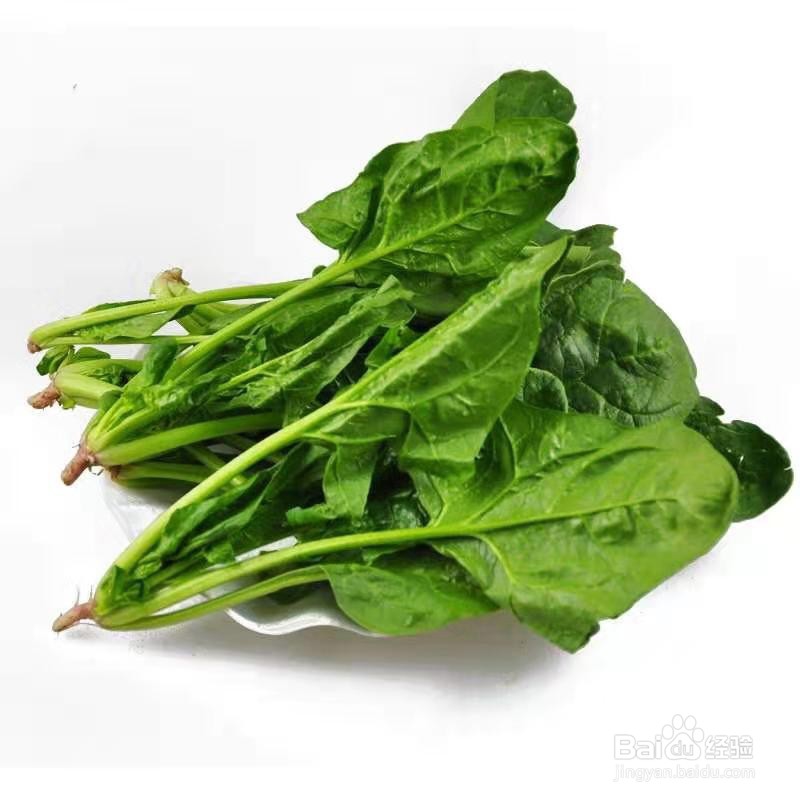 珍珠豆腐羹适合大众口味