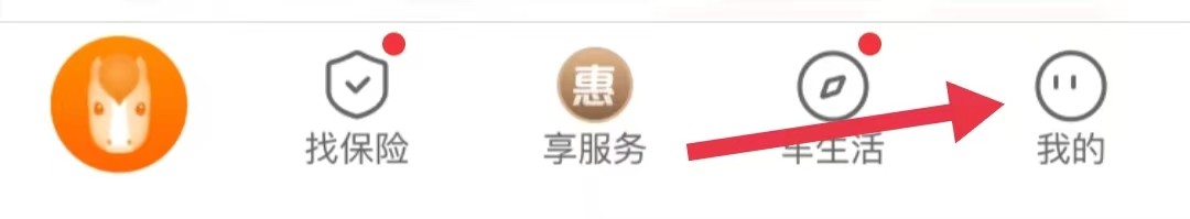 在哪查看平安好车主app中的个性装扮