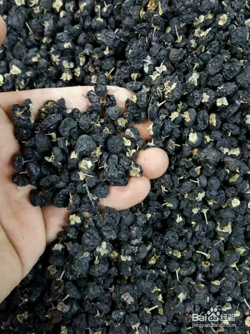 黑枸杞的功效有哪些?怎么食用