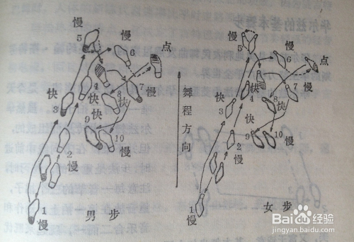 交际舞中探戈的基本舞步有哪些