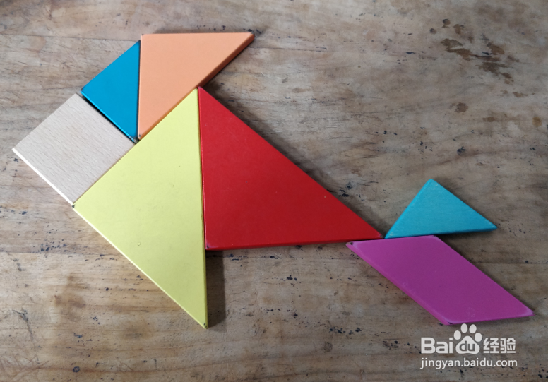 用七巧板怎样拼一条鳙鱼?