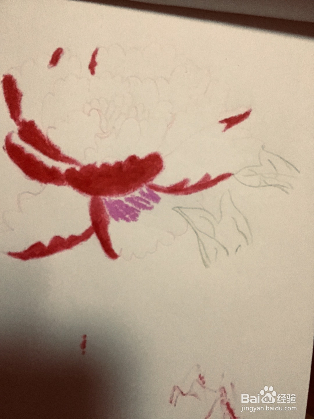 姐姐手绘的牡丹花