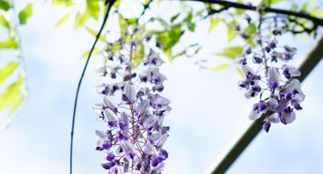 秋天发朋友圈的精美句子有哪些