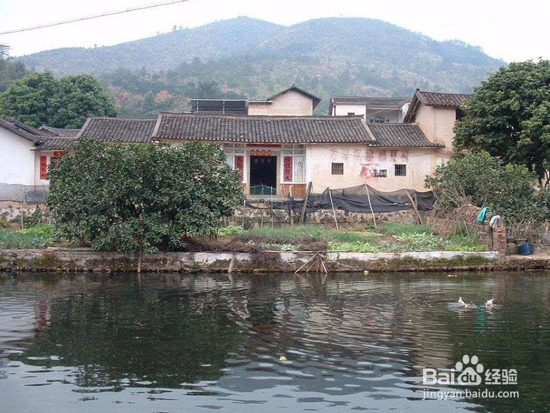 广东如何建设美丽乡村