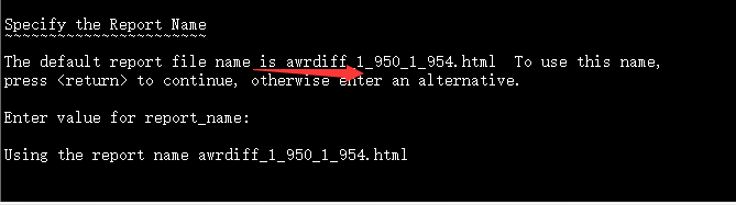 oracle如何使用arw在同一文件中生成两份报告