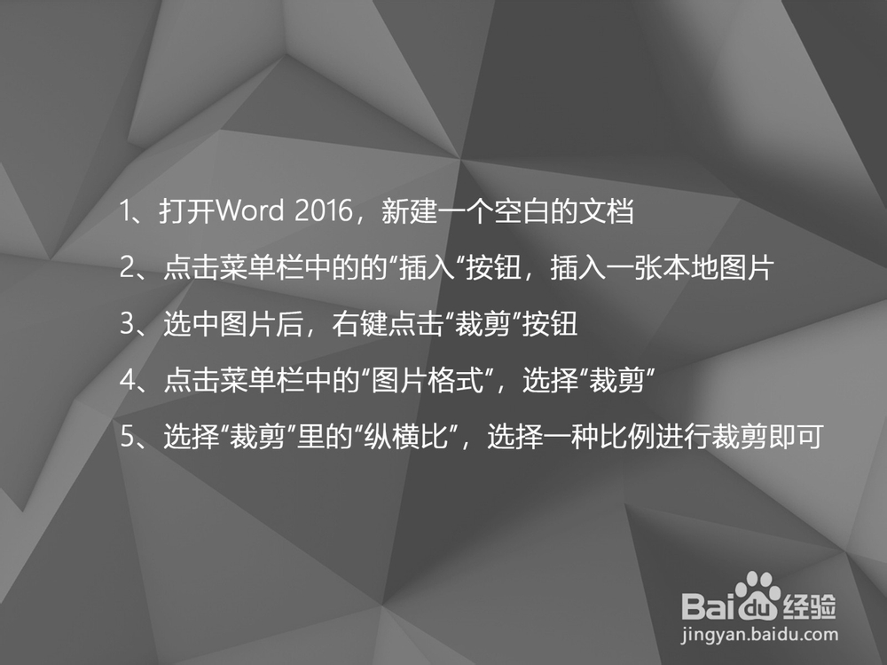 Word 2016怎么按比例裁剪图片