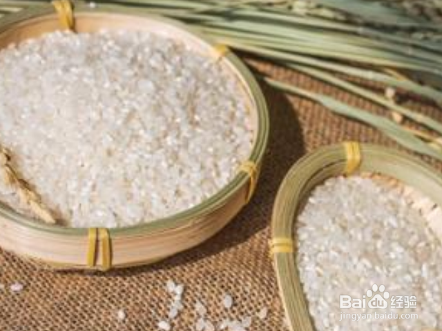 米长虫了怎么办如何把米虫赶跑